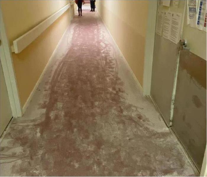 white powder on carpeted corridor