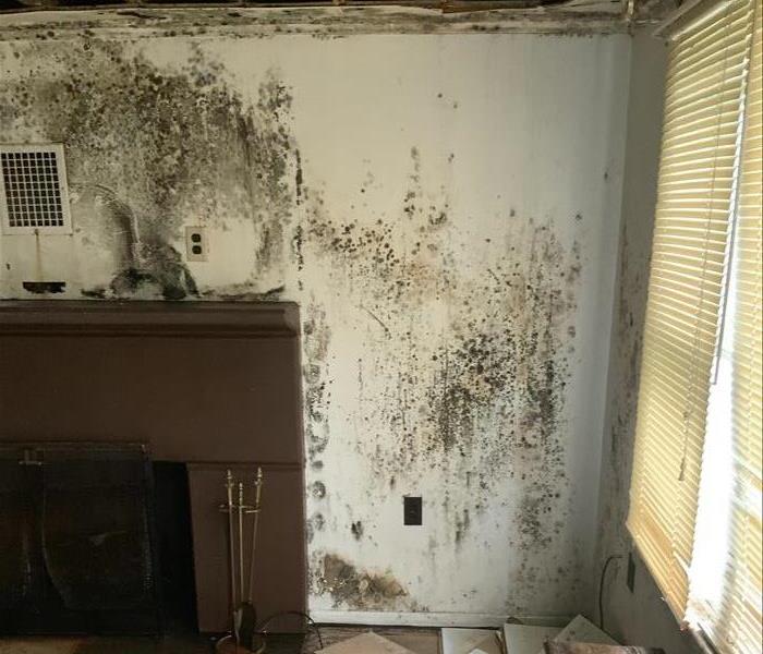 ceiling, tiles, and walls damaged by water stained with mold by a fireplace