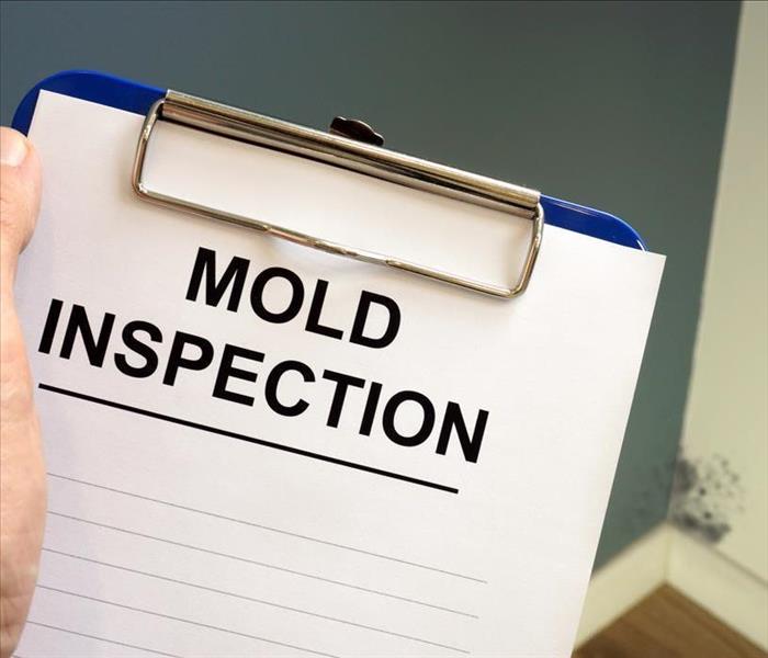 mold inspection page on a clipboard