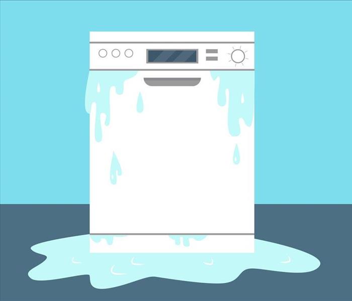 leaking dishwasher