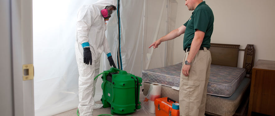 Darien, CT mold removal process